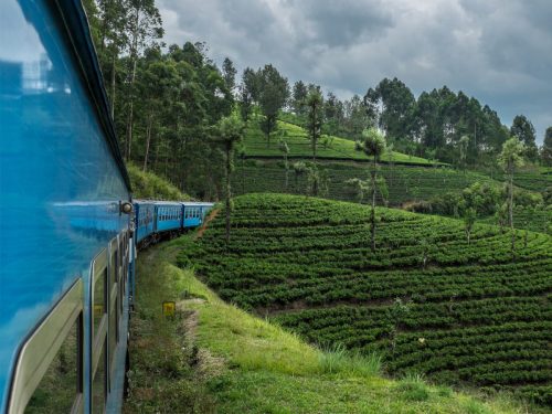 Train-in-Nuwara-Eliya-264101432915662